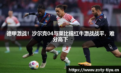 中欧体育平台