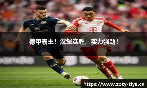 中欧体育官方网站