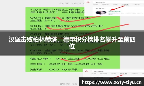 中欧体育