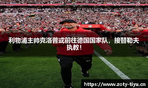 中欧体育