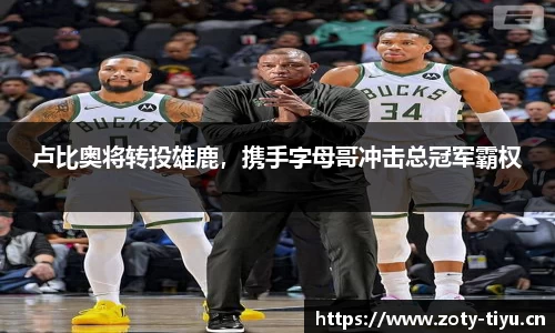 中欧体育官网