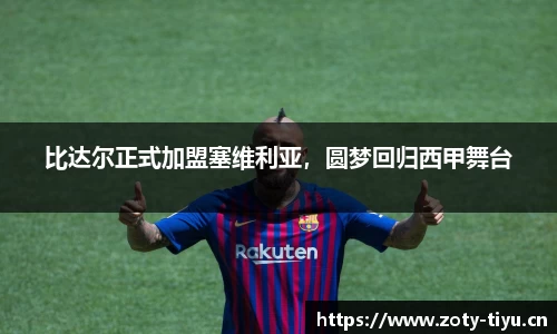 中欧体育官方网站