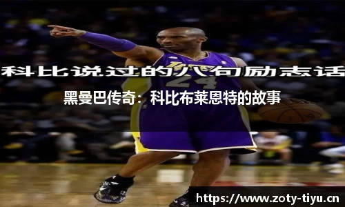 中欧体育官方网站
