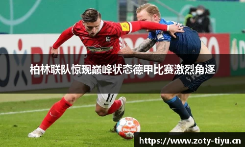 中欧体育平台