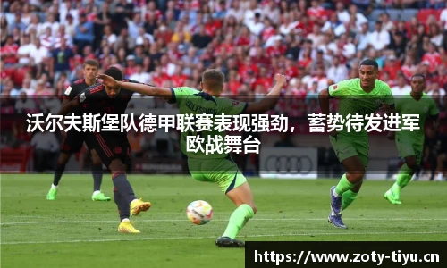 中欧体育平台