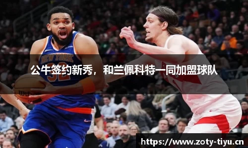 中欧体育官方网站