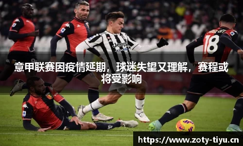 中欧体育