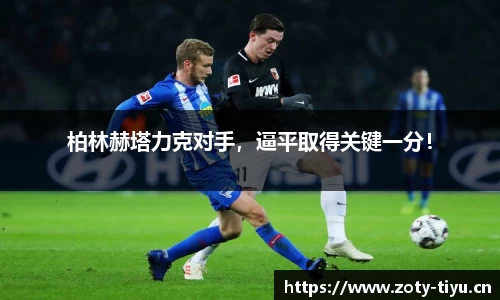 中欧体育官方网站