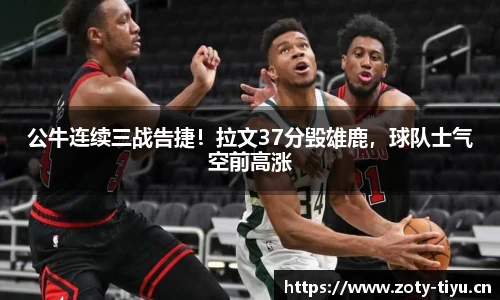 中欧体育官网