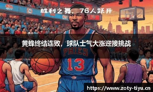 中欧体育