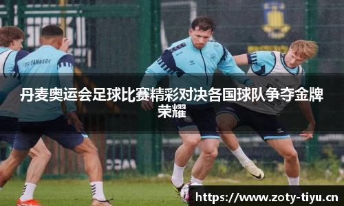 中欧体育平台