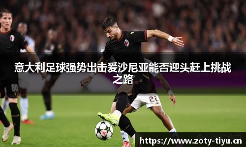 中欧体育官网
