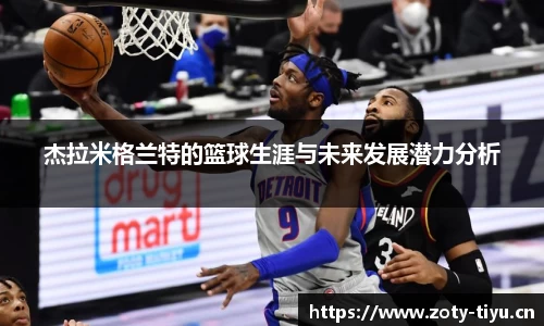 中欧体育官方网站