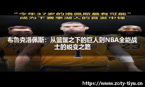 中欧体育