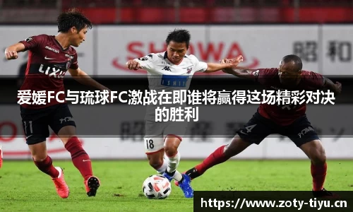 中欧体育