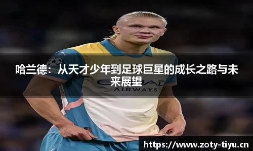 中欧体育官方网站