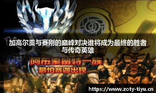 中欧体育